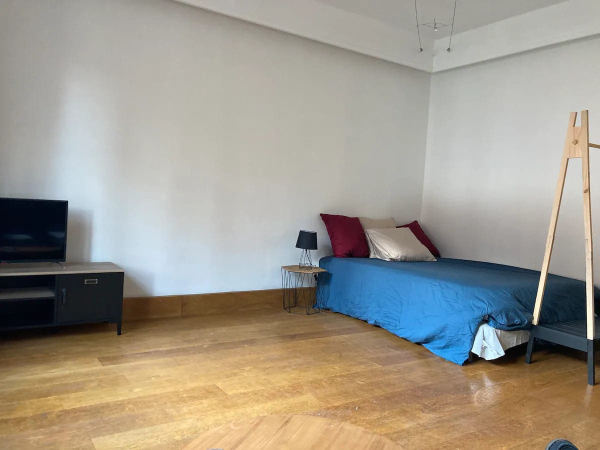 Location logement entier : Appartement place des éléphants à chambéry